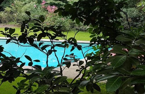 Robecco D'Oglio Villa | Villa Bottini in esclusiva