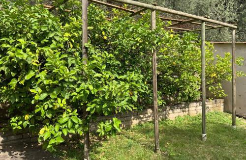 Malcesine Apartment | Villa dei Limoni