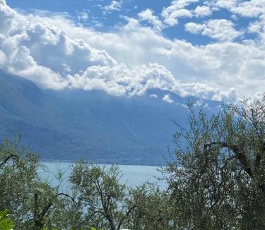 Limone sul Garda Apartment | Villa Gianna Terrazza