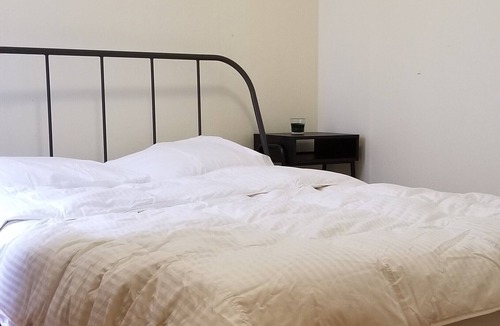 South Slope Apartment | Villa Prospect Park West QBR (sleeps 2) & Living Room in 2 BR apt