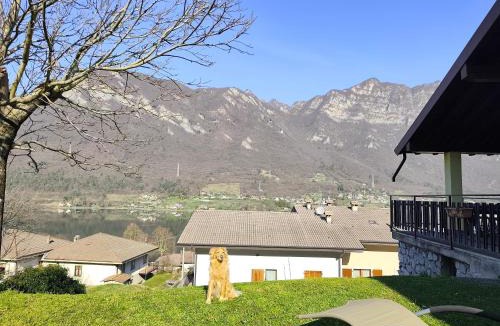 Crone House | Villa Rosaria, family and pet friendly
