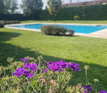 Taglio di Po Villa | VILLA SAVALIN
