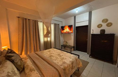 Kingston Apartment | Villa Solara Your Spacious, Central, Affordable Stay in Kingston