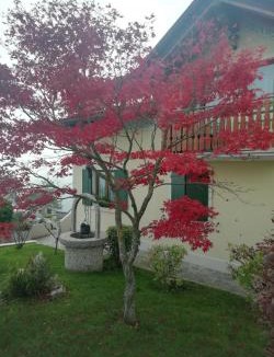 Foza Apartment | Villetta di montagna