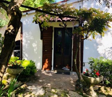Albettone House | Villino San Silvestro