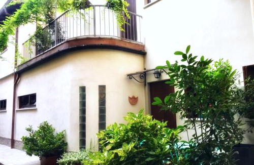 Cremona House | Violino azul