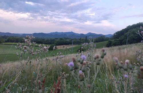 Cavaso del Tomba House | W la stanza