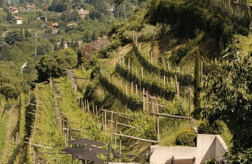 Merano House | Wine Lodge Pratenberg