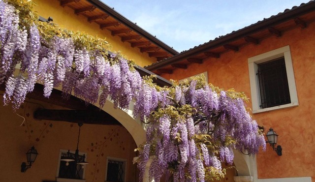 Agriturismo Macesina