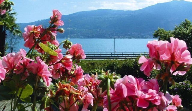 Apartment in Verbania near the lake