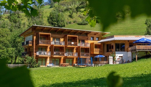 Apartment "Le Table D" with Mountain View, Garden & Wi-Fi