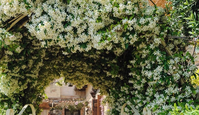 B&B La Torretta
