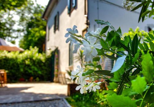 Bed & Breakfast Varinianus