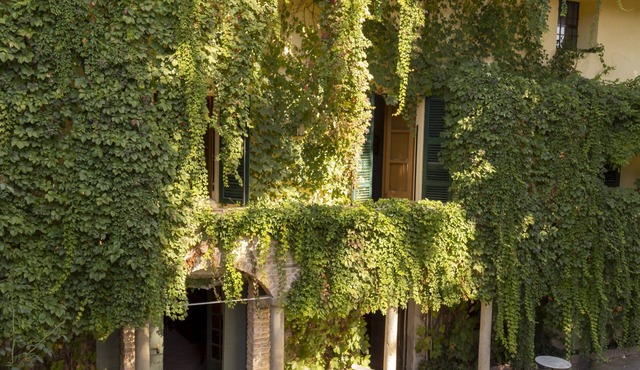 Bed & Breakfast Palazzo Sismonda