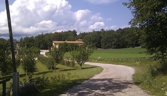 flat 'Mercedes' with swimming pool