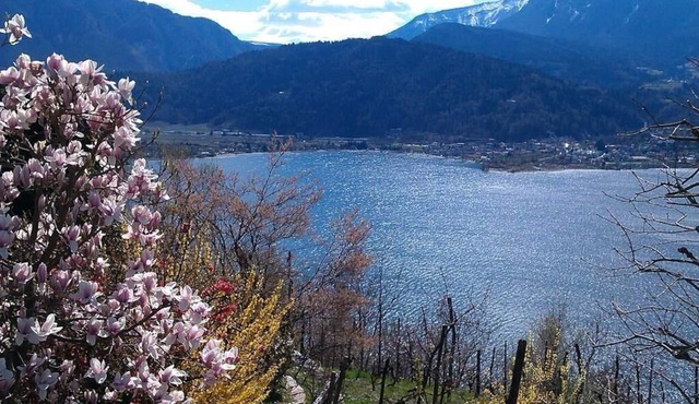 Holiday apartment Levico Terme for 1 - 3 persons with 1 bedroom - Holiday apartment