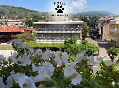 Hotel Benaco Garda *S