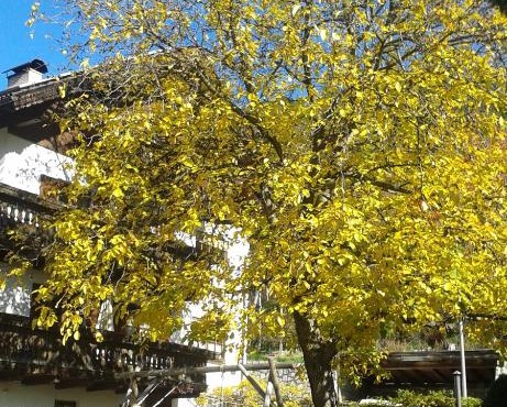 Huberhof