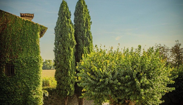 Medieval tower in Colli Orientali del Friuli