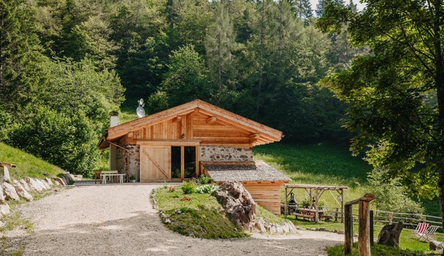 Odomi maso nel bosco - Eleganza e Relax nella Natura