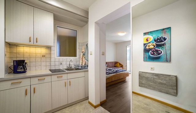 Studio Apartment 'Apartment Typ C Haus Pöder' with Mountain View