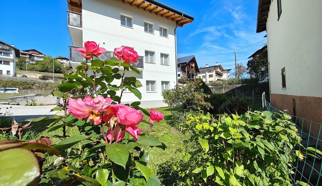 The house in the mountains. New cozy apartment, with parking space and garden.
