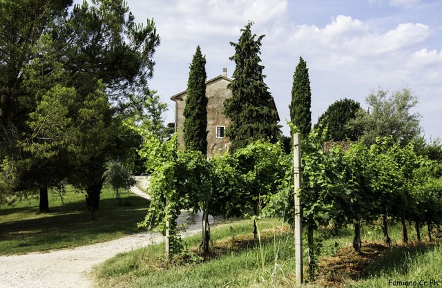 Country house in the Prosecco hills, 4 apartments
