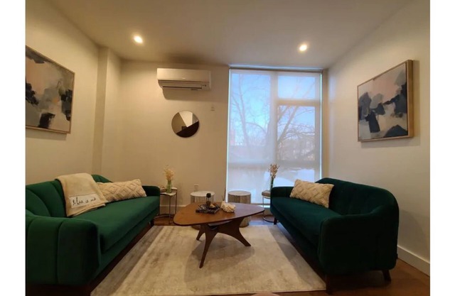 Luxury 2 bedroom apt in Brooklyn