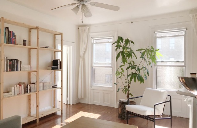 Sunny & Spacious apartment in Crown Heights