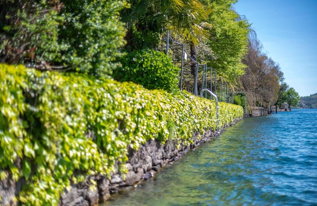 Villa Orta Wohnung San Giulio 