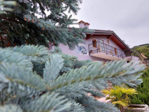 Conco Bed & Breakfast | 22 m² Bed and breakfast ∙ 2 guests