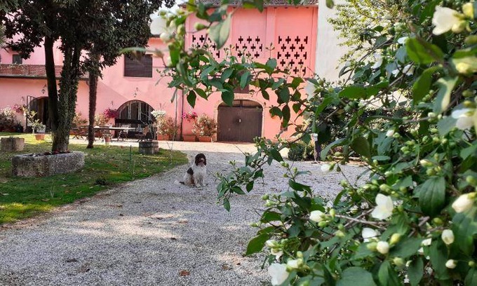 Salionze Bed & Breakfast | 320 m² Bed and breakfast ∙ 3 bedrooms ∙ 10 guests