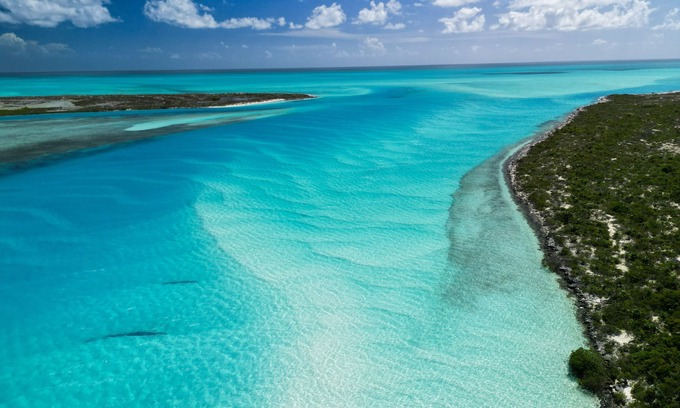 Morris Settlement Cottage | Bahamas Beachfront Escape: Luxury Palmirage Cottage, Pets OK!
