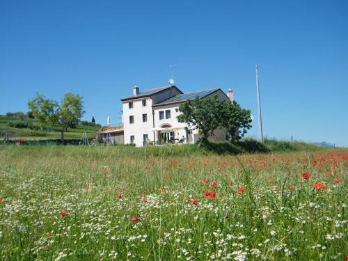 Lazise House | Bed & Breakfast Le Coste