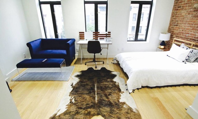 Prospect Heights Apartment | Prospect Heights BK Industrial Modern Studio Apt