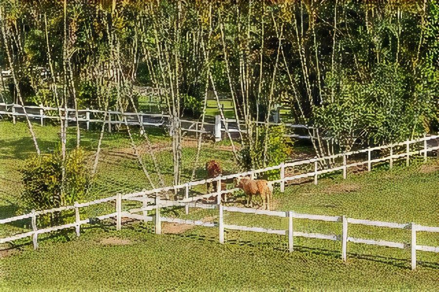Photo of Others in Fazenda Inglesa