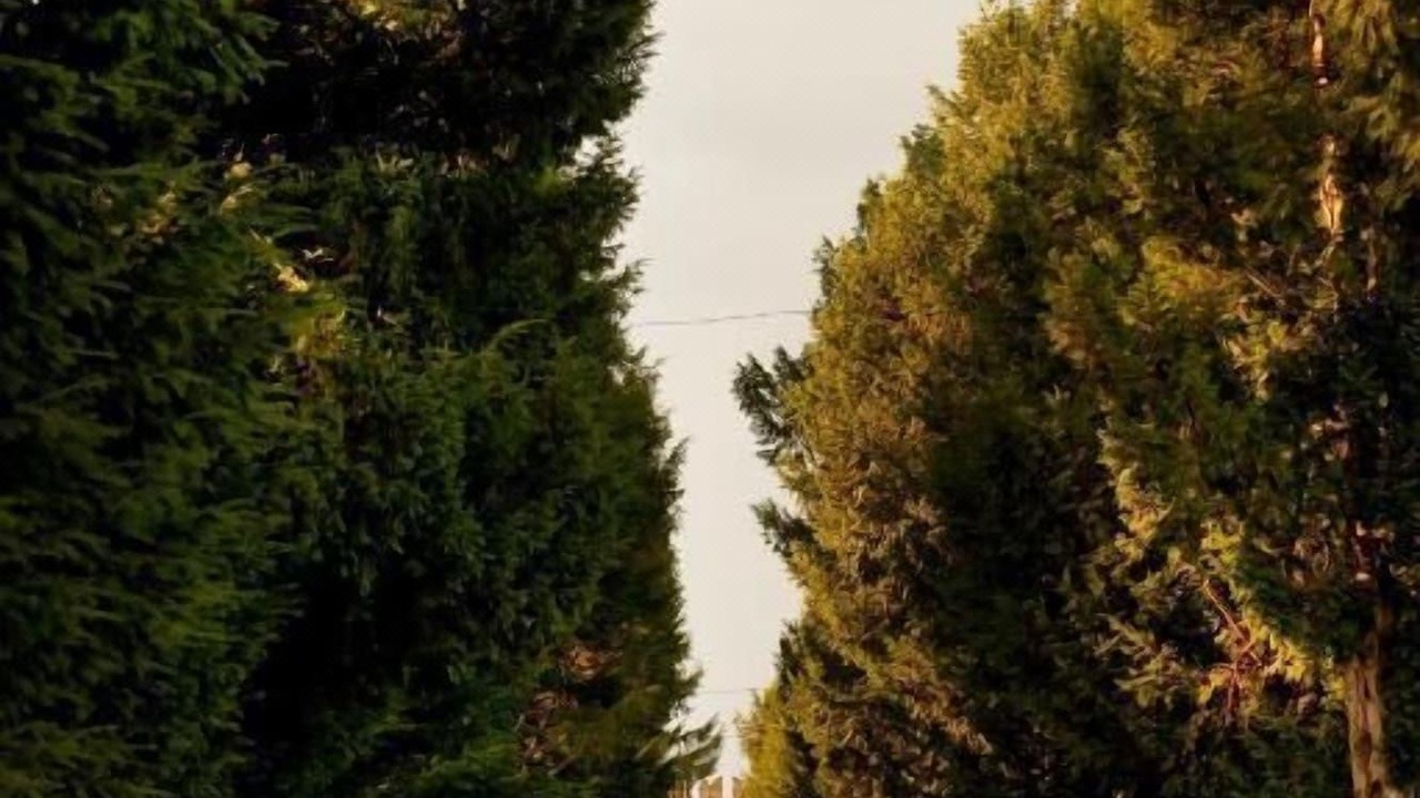 Photo of Outdoor in Bevilacqua