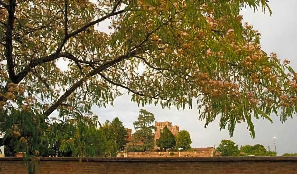 Photo of Others in Bevilacqua