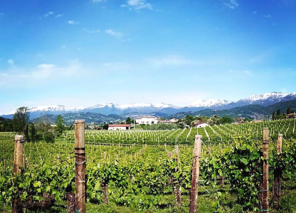 Photo of Outdoor in Conegliano