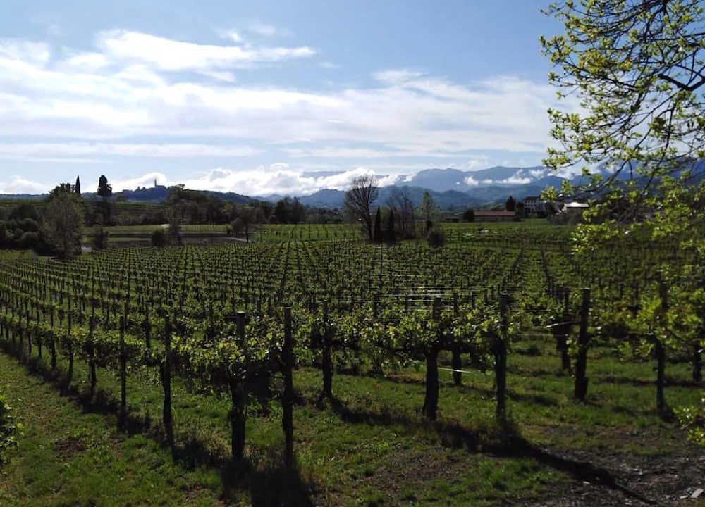 Photo of Outdoor in Conegliano