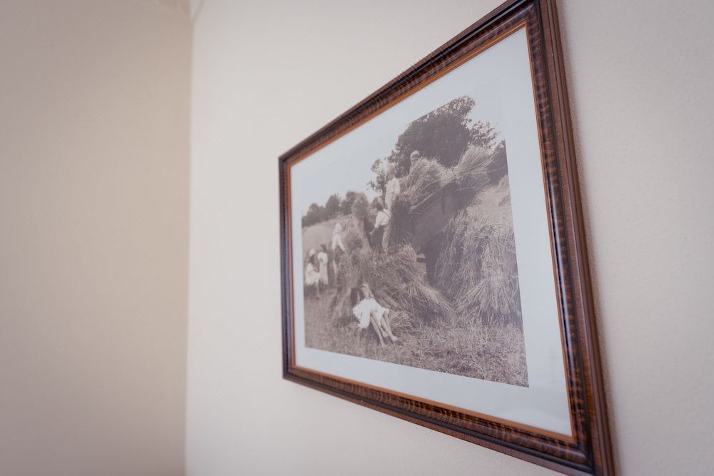 Photo of Others in Bellombra