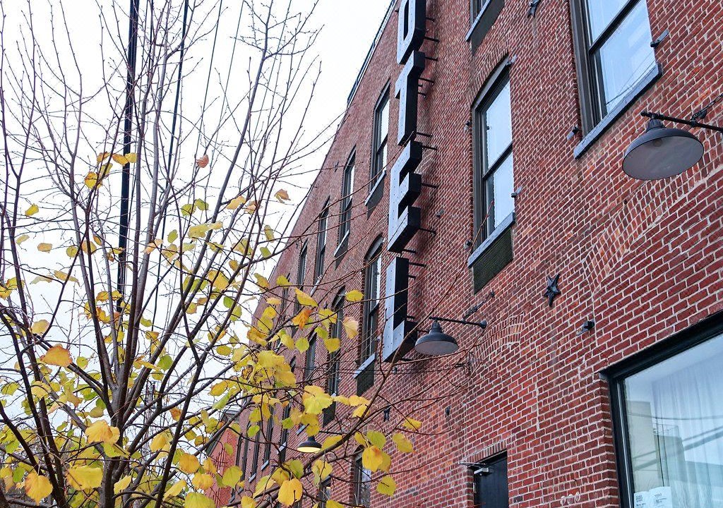 Photo of Buildings in Greenpoint