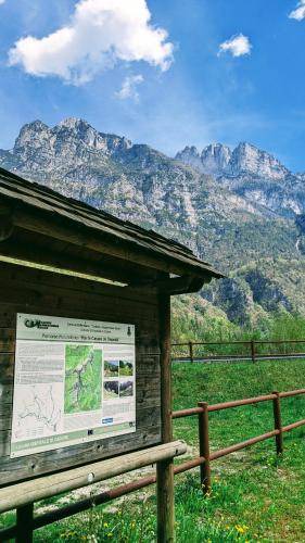 Photo of Others in Ospitale di Cadore