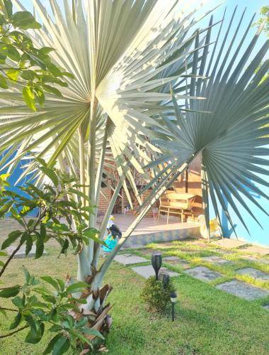 Photo of Others in Praia Rasa