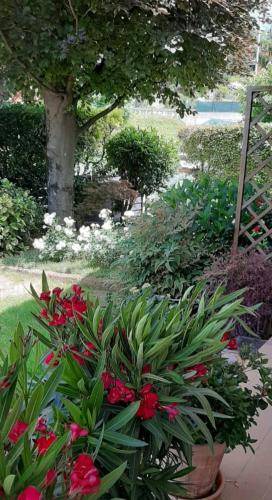 Photo of Others in Schio
