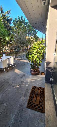 Photo of Others in San Martino Buon Albergo
