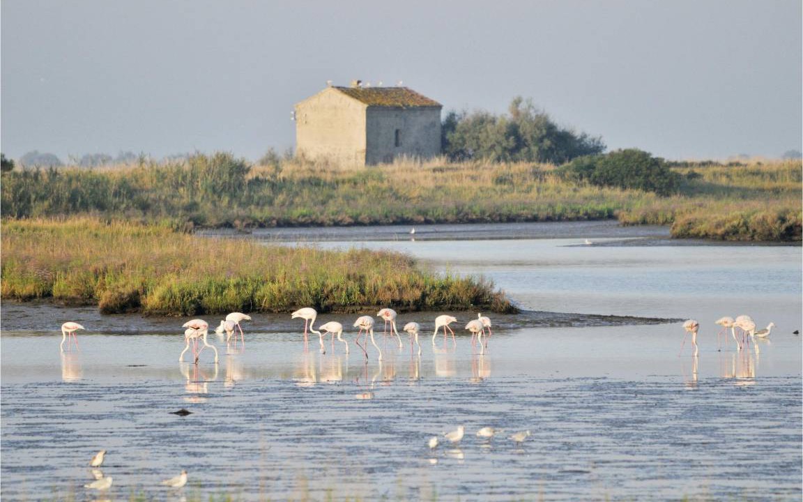 Photo of Others in Taglio di Po
