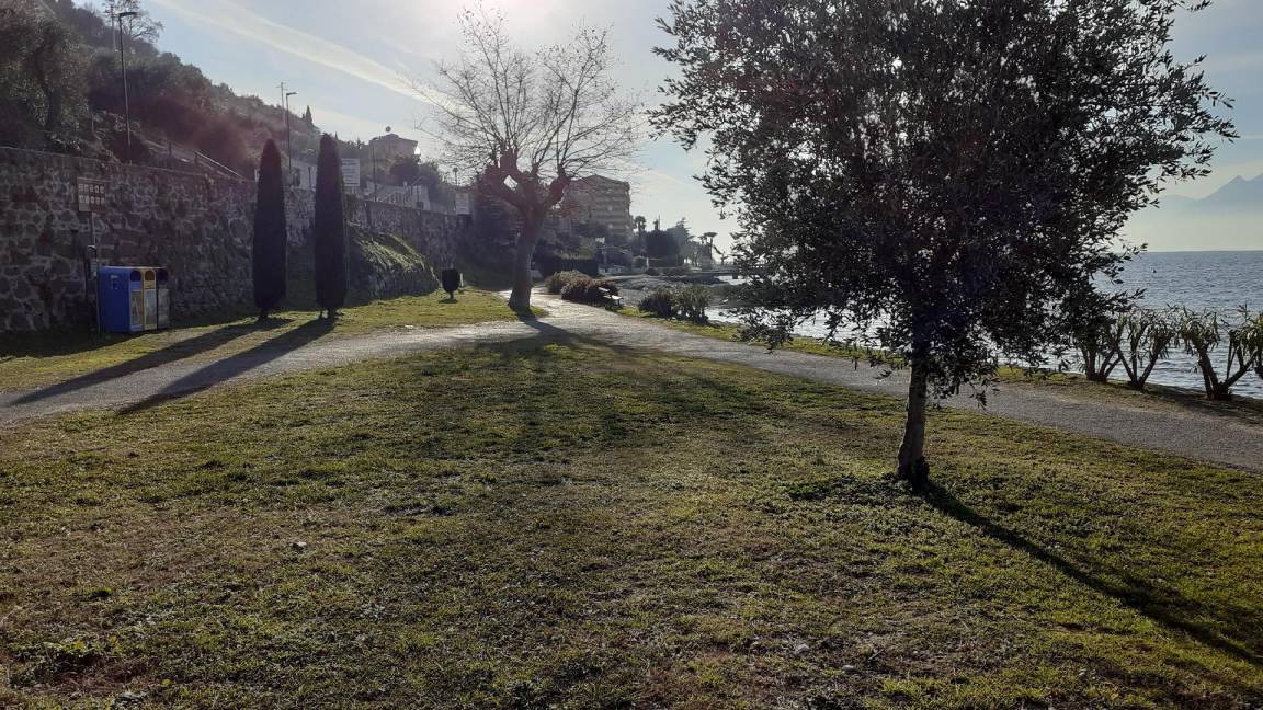 Photo of Others in Porto