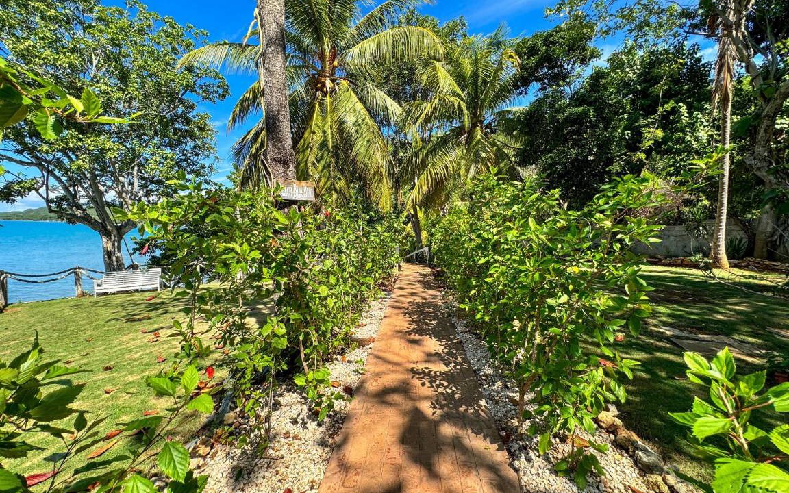 Photo of Others in Treasure Beach