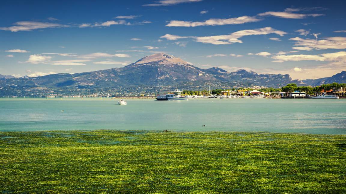 Photo of Others in Peschiera del Garda